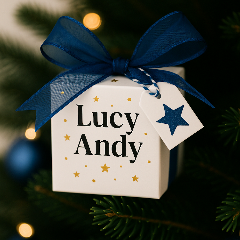 Decorative ornament with 'Lucy Andy' text and blue ribbon on a Christmas tree.