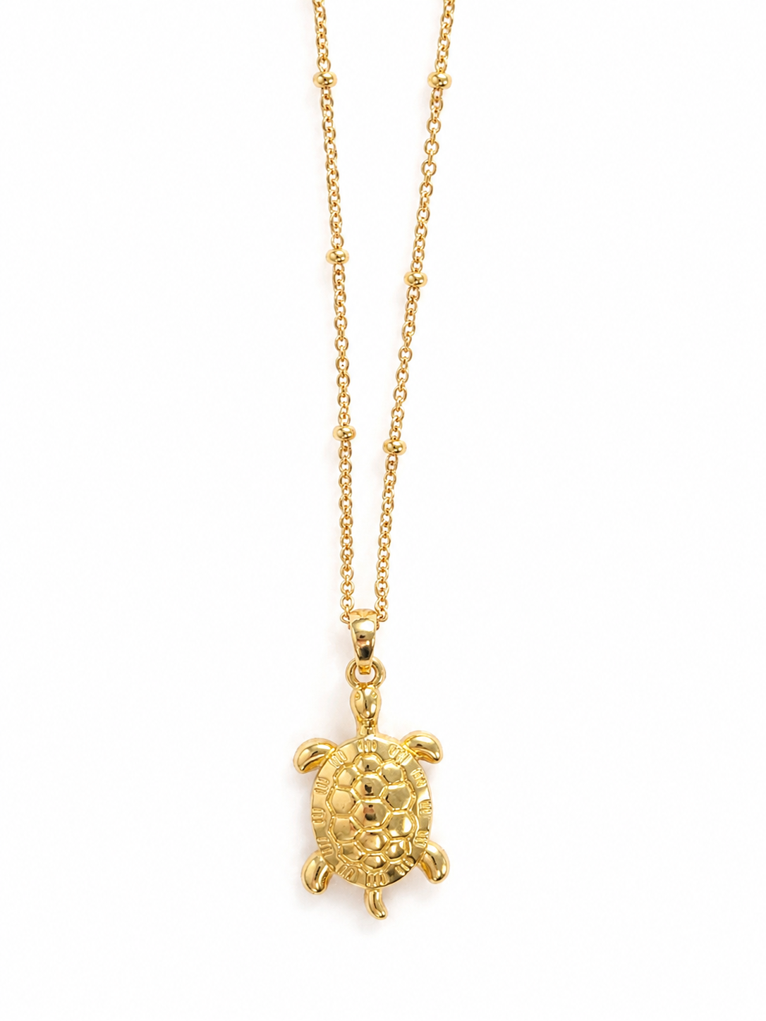 Tortuga  Necklace